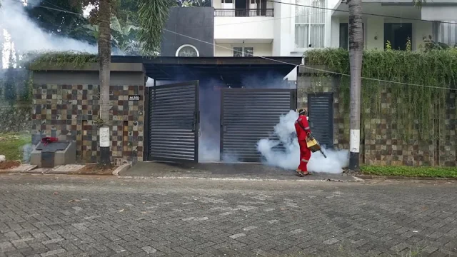 Gambar pada sumber untuk Kenz Pest Control