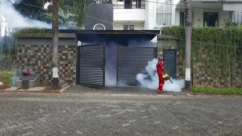 Gambar pada sumber untuk Kenz Pest Control