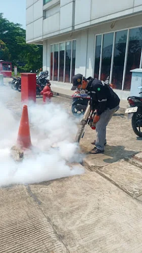 Gambar pada sumber untuk Dwijaya