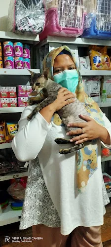 Gambar pada sumber untuk Smart Vet