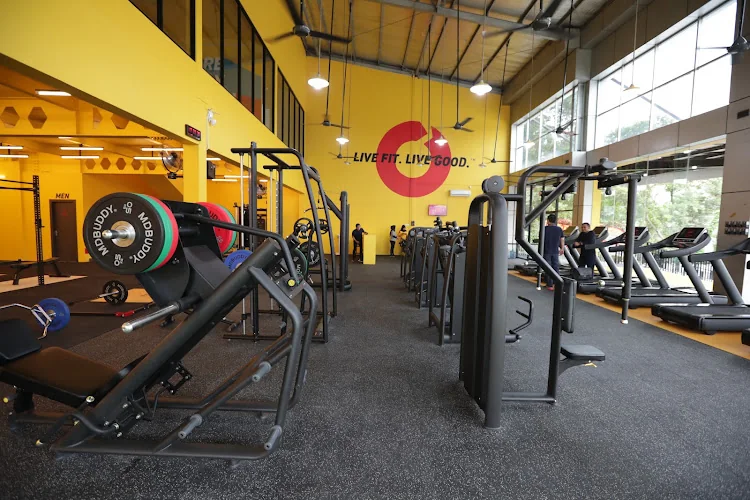 Gambar pada sumber untuk ReFIT Gym Cimone