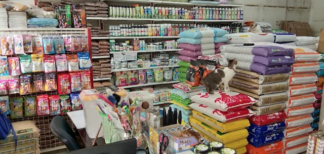 Gambar pada sumber untuk Felix Petshop