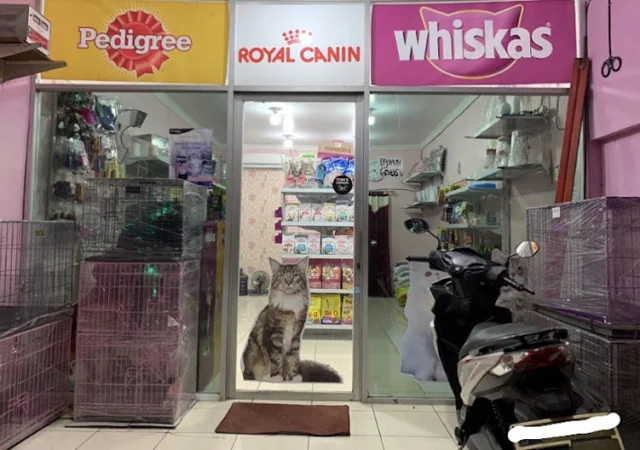 Gambar pada sumber untuk Oci Petshop