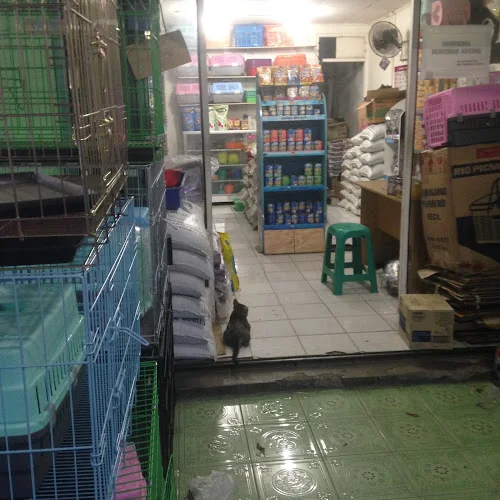 Gambar pada sumber untuk MRidwan Petshop